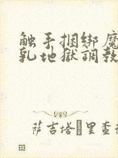 触手捆绑魔女榨乳地狱调教小说封面