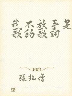 我不放手是哪首歌的歌词