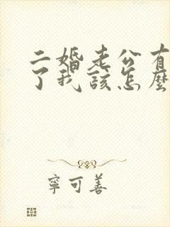 二婚老公有外遇了我该怎么办封面