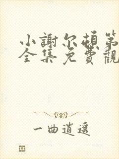 小谢尔顿第一季全集免费观看