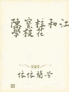陈宝柱和江南大学校花封面