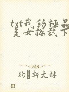 txt我的极品美女总裁下载封面