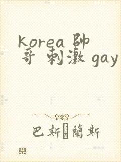 korea 帅哥 刺激 gay片