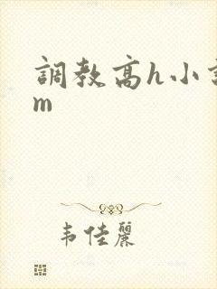 调教高h小说sm