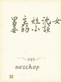 男主姓沈女主姓姜的小说封面