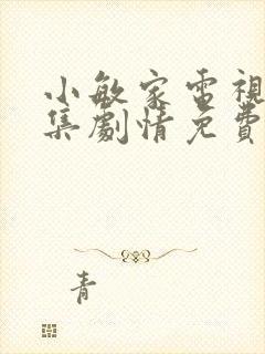 小敏家电视剧全集剧情免费观看