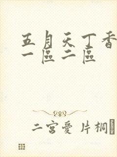 五月天丁香婷婷一区二区