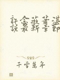 许念薇萧湛明小说最新章节免费阅读