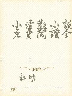 小清欢小说全文免费阅读全文