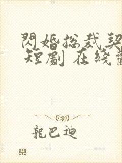 闪婚总裁契约妻 短剧 在线观看