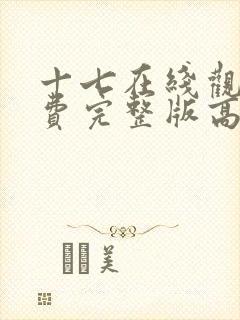 十七在线观看免费完整版高清电影封面