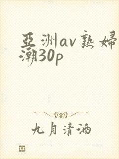 亚洲av熟妇高潮30p