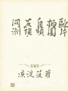 网友自拍欧美亚洲视频图片小说封面