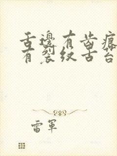 舌边有齿痕中间有裂纹舌苔厚白封面