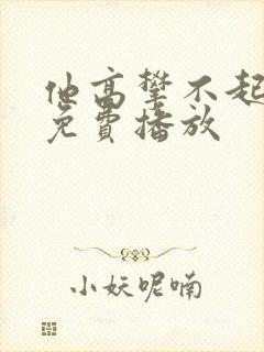 他高攀不起短剧免费播放