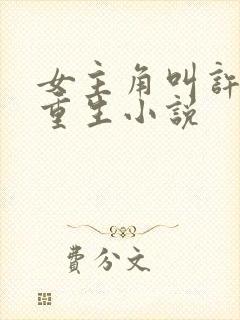 女主角叫许清欢重生小说