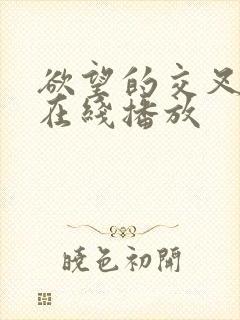 欲望的交叉点 在线播放