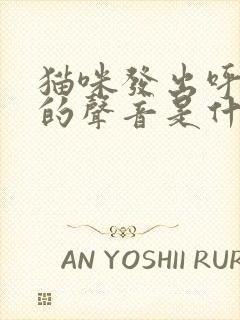 猫咪发出呼噜噜的声音是什么情况