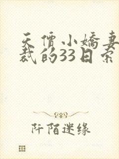 天价小娇妻:总裁的33日索情全文免费阅读封面