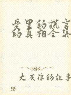 爱里的谎言仇恨的真相全集