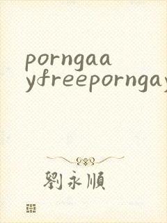 porngaayfreeporngayvideosboy