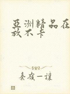 亚洲精品在线播放不卡