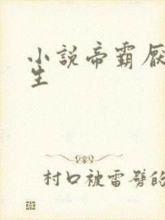 小说帝霸厌笔萧生