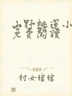 山野桃运小傻医免费阅读