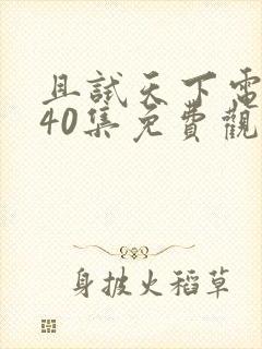 且试天下电视剧40集免费观看高清封面