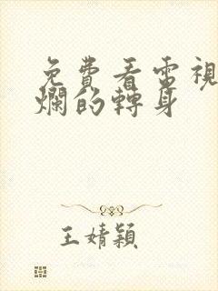 免费看电视剧灿烂的转身封面