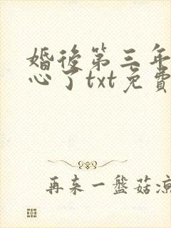 婚后第三年她变心了txt免费