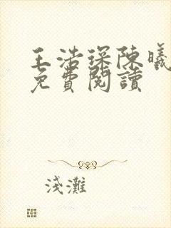 王浩琛陈曦全文免费阅读封面