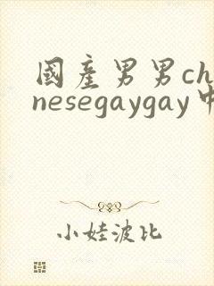 国产男男chinesegaygay中国帅哥网站