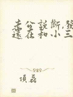 老公说断,发现还在和小三聊