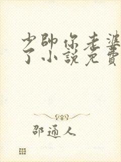 少帅你老婆又跑了小说免费阅读全文