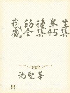 我的后半生电视剧全集45集