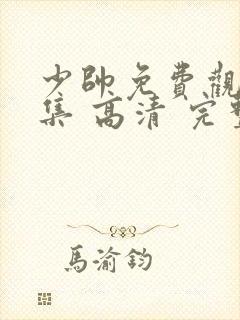 少帅免费观看全集 高清 完整