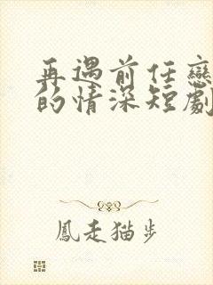 再遇前任恋上他的情深短剧免费