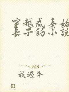 穿越成秦始皇的长子的小说赵浪