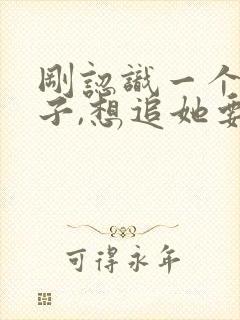 刚认识一个女孩子,想追她要怎么说