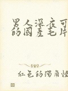 男人深夜可以看的国产毛片