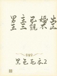 男主已婚出轨女主三观不正小说