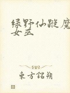 绿野仙踪魔法坏女巫封面