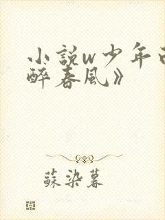 小说w少年白马醉春风》