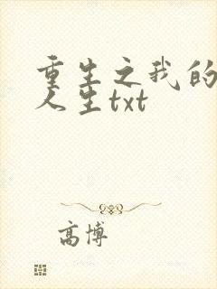 重生之我的书记人生txt