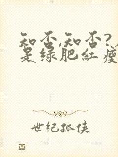 知否,知否?应是绿肥红瘦原著封面