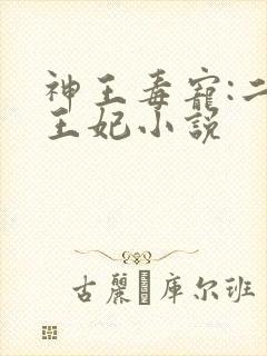 神王毒宠:二嫁王妃小说