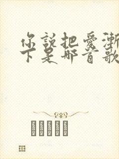 你说把爱渐渐放下是哪首歌的歌词