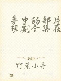 梦中的那片海电视剧全集在线观看