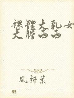 裸体大乳女做爰大胆西西封面